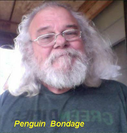 Penguin Bondage